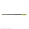 Gold Tip Hunter Pro Fletched Arrows -BoltCraft Sales Shop 2320358 label 2022