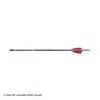 PSE Razorback Youth Arrow