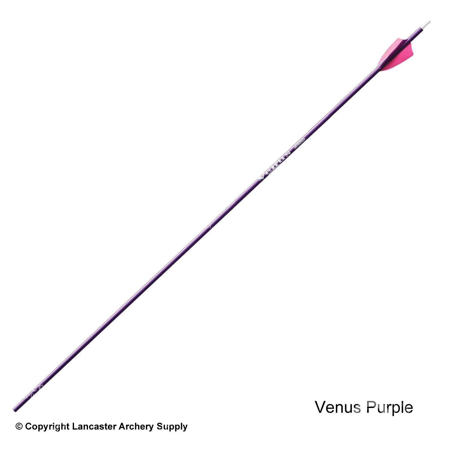 Victory Ares / Venus Youth Fletched Arrow 7 Victory Ares / Venus Youth Fletched Arrow - Image 5